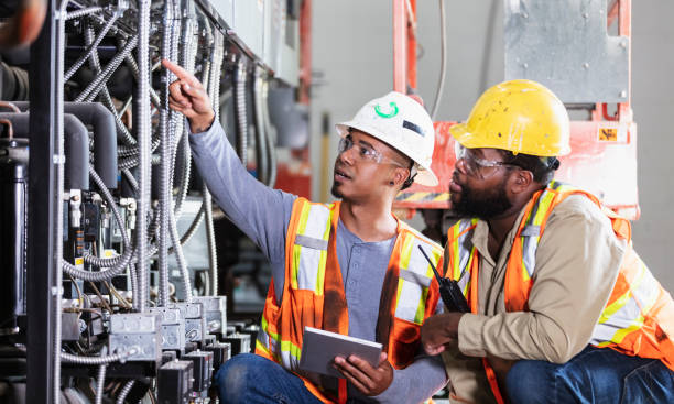 Best Electrical System Inspection  in Stockbridge, MI