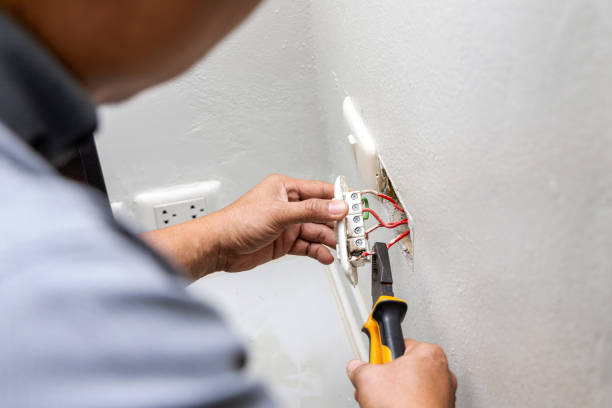 Best Electrical Wiring Services  in Stockbridge, MI