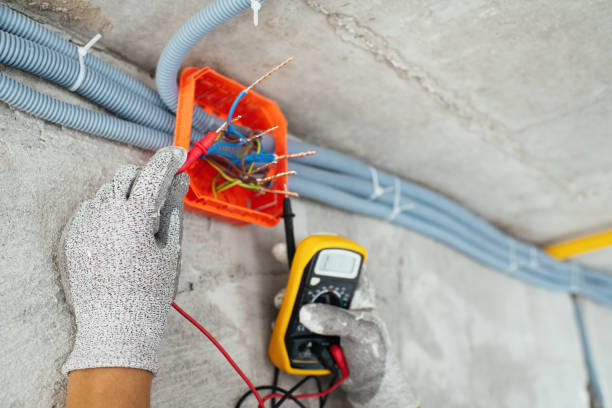 Best Electrical Repair Services  in Stockbridge, MI